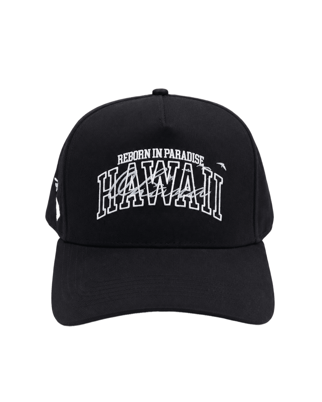 r1pfitness black hat front
