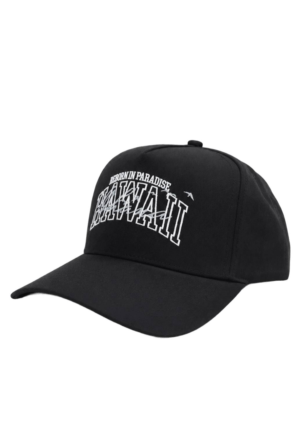 r1pfitness black hat side