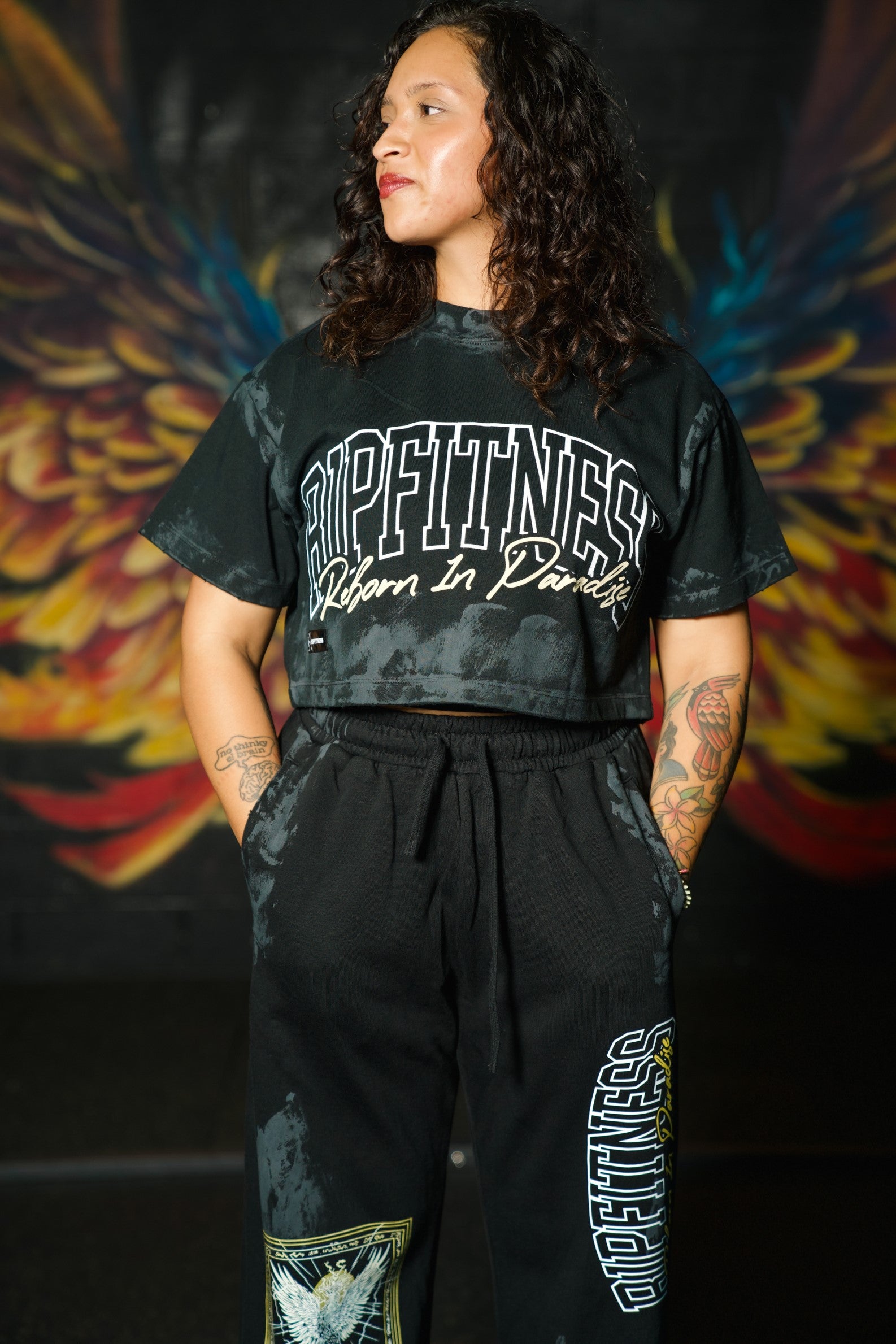 Phoenix Ascend Crop Top - Vintage Phoenix Crop